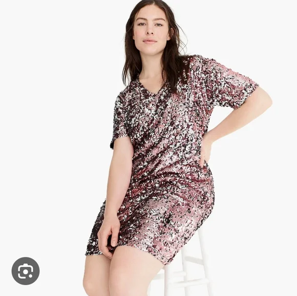 J Crew Universal Standard pink sequin dress - Picture 1 of 4